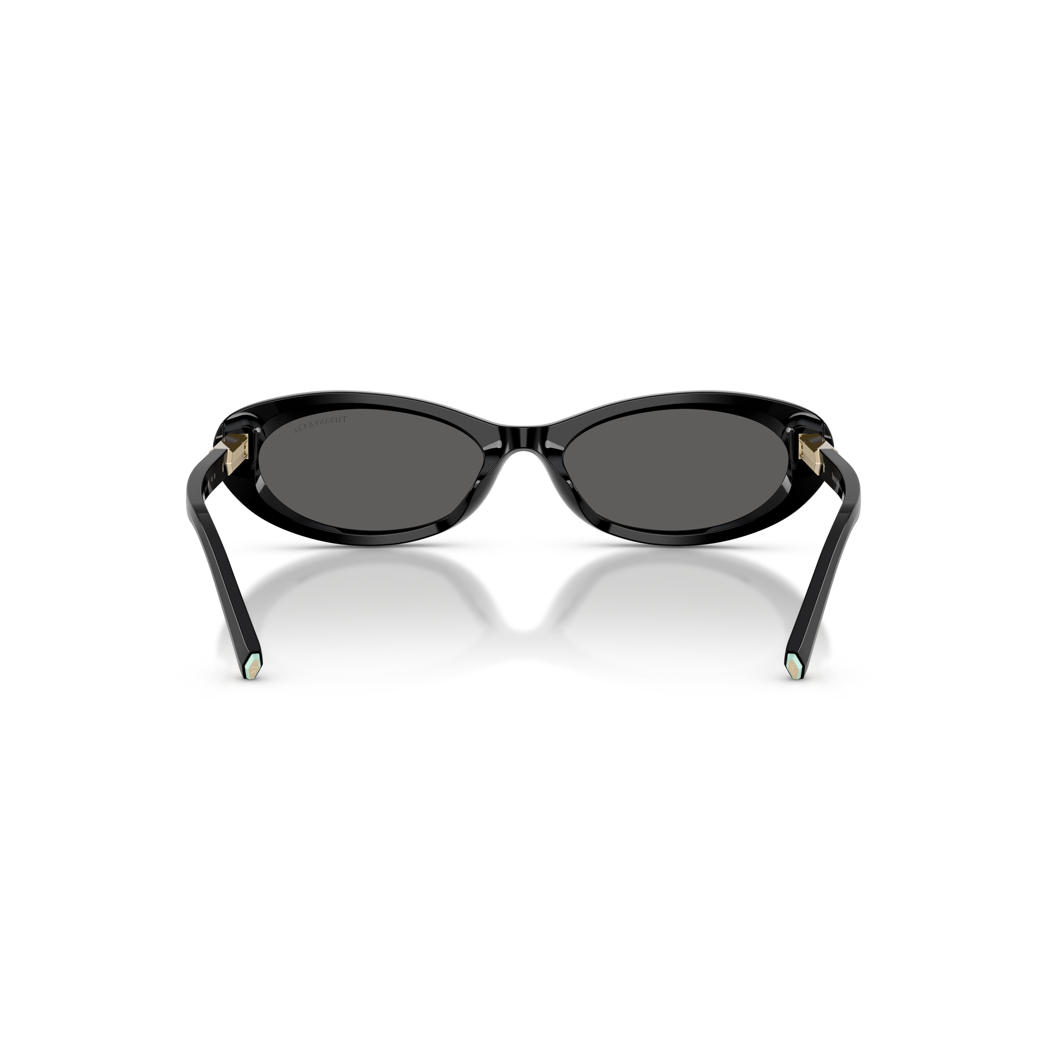 0tf4250 Elongated Oval Sunglasses