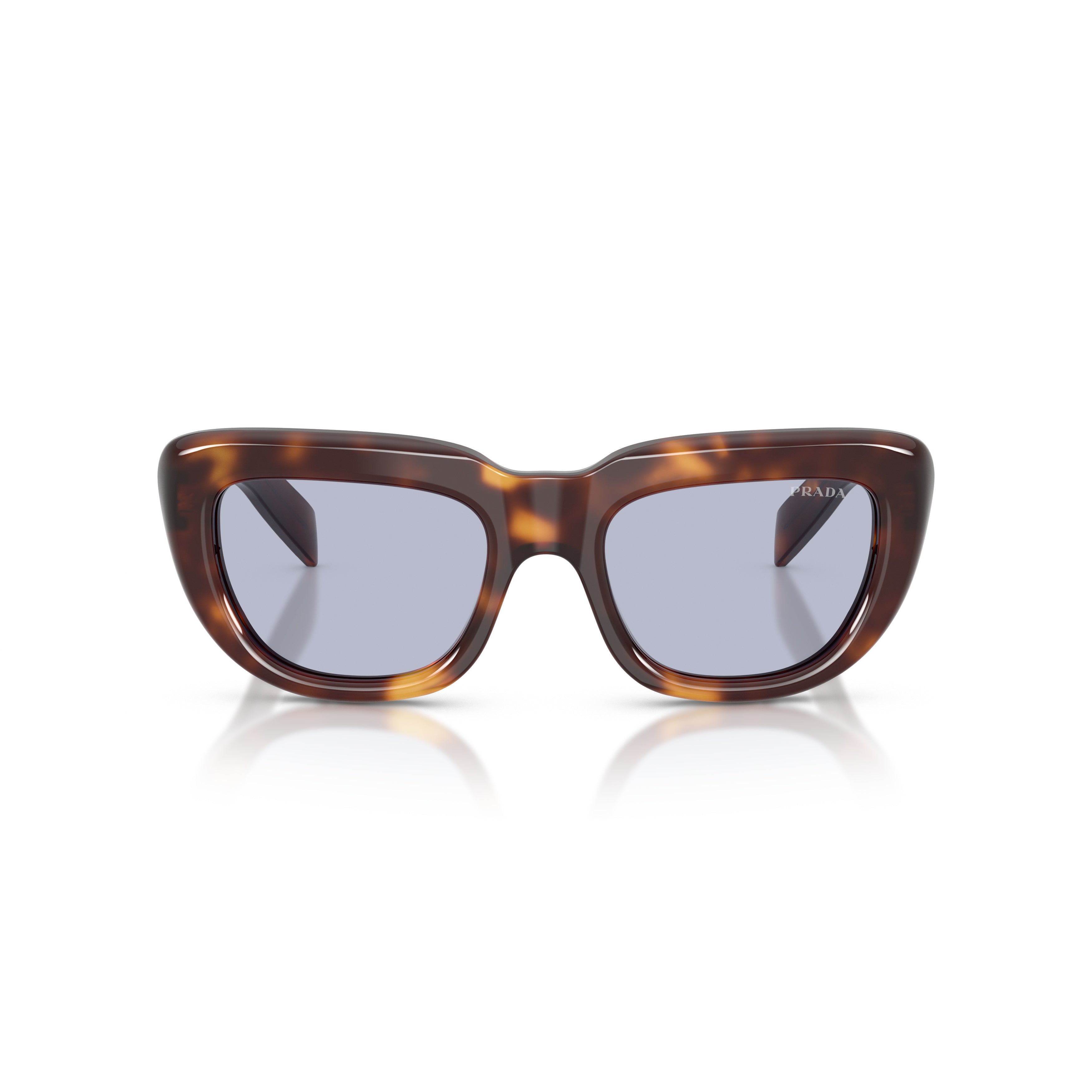 0pr D07s Oversized Cat-Eye Sunglasses