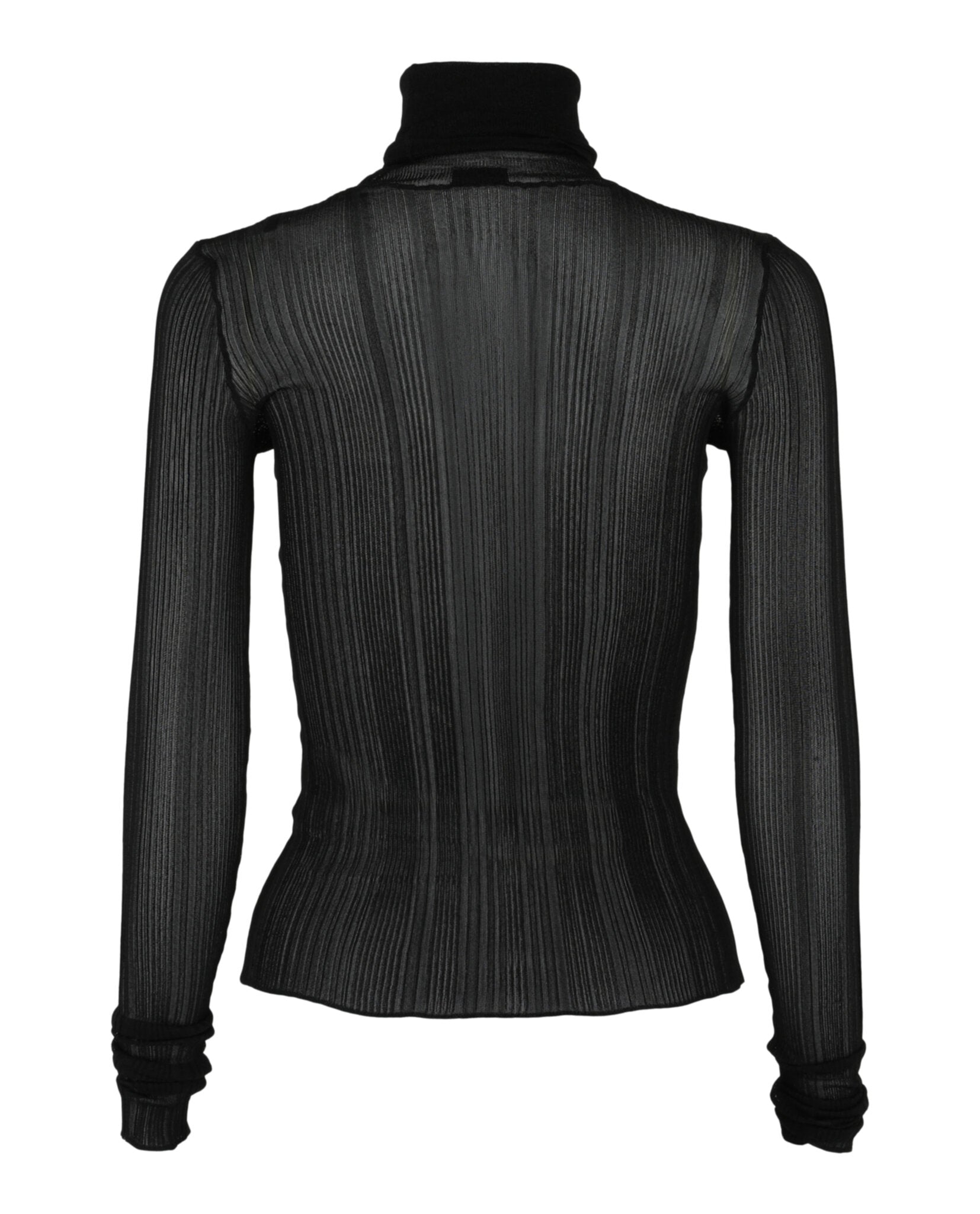 Sheer Stretch Turtleneck