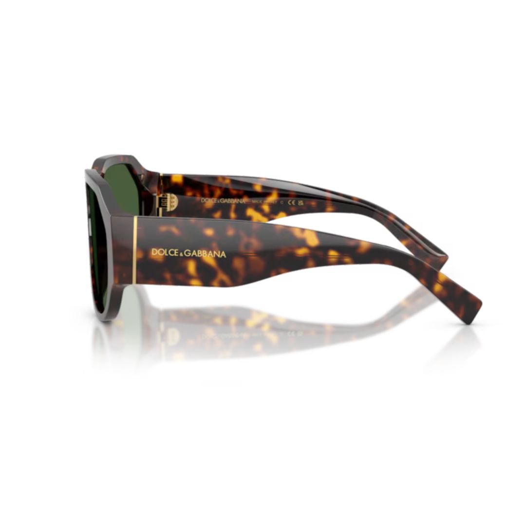 0dg4504 Oversized Tortoiseshell Acetate Sunglasses