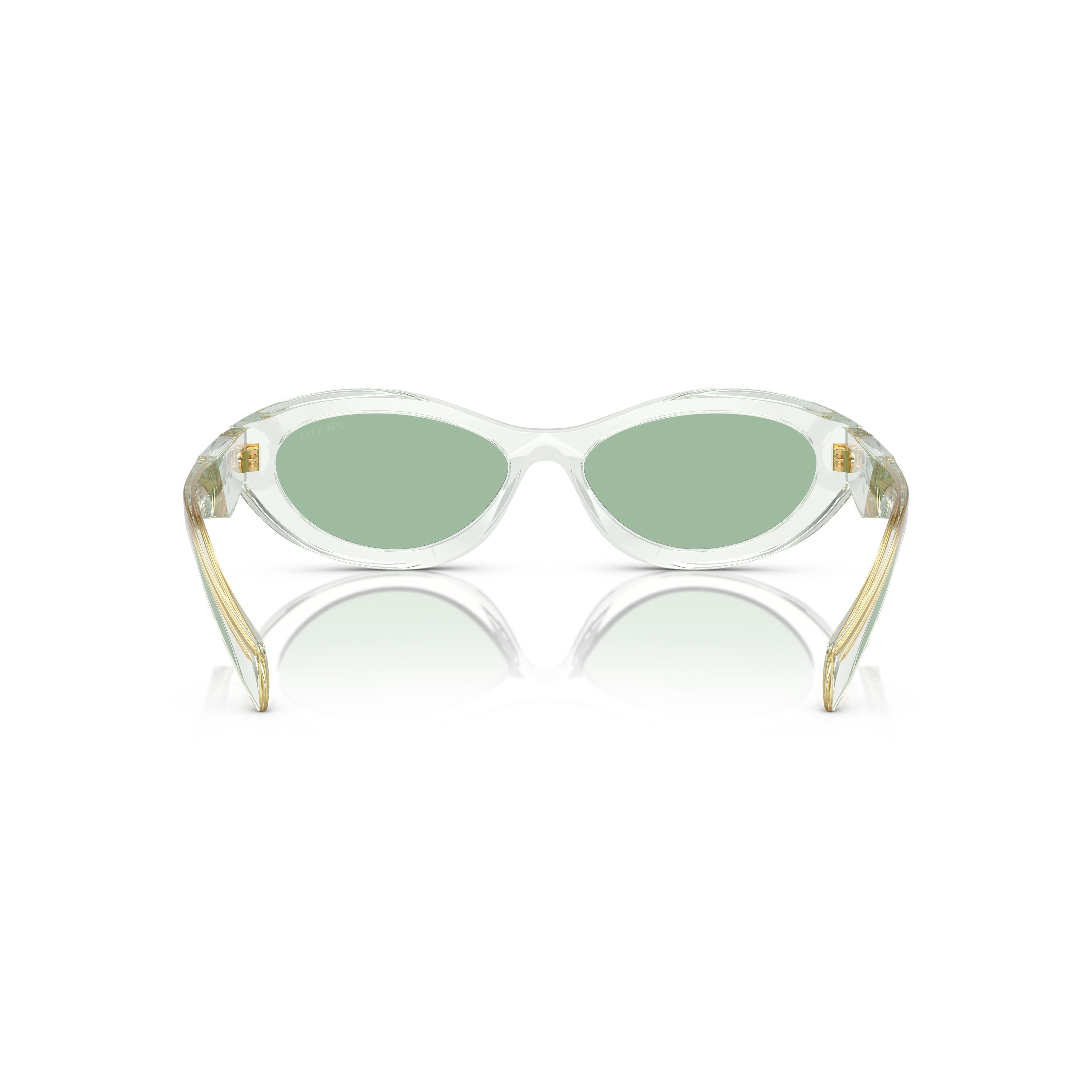 0pr 26zs Translucent Acetate Oval Sunglasses