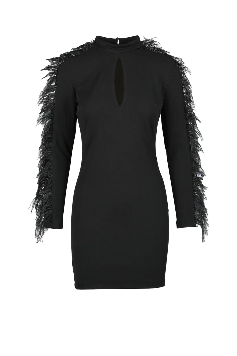 Fitted Mini Dress with Feathered Fringes