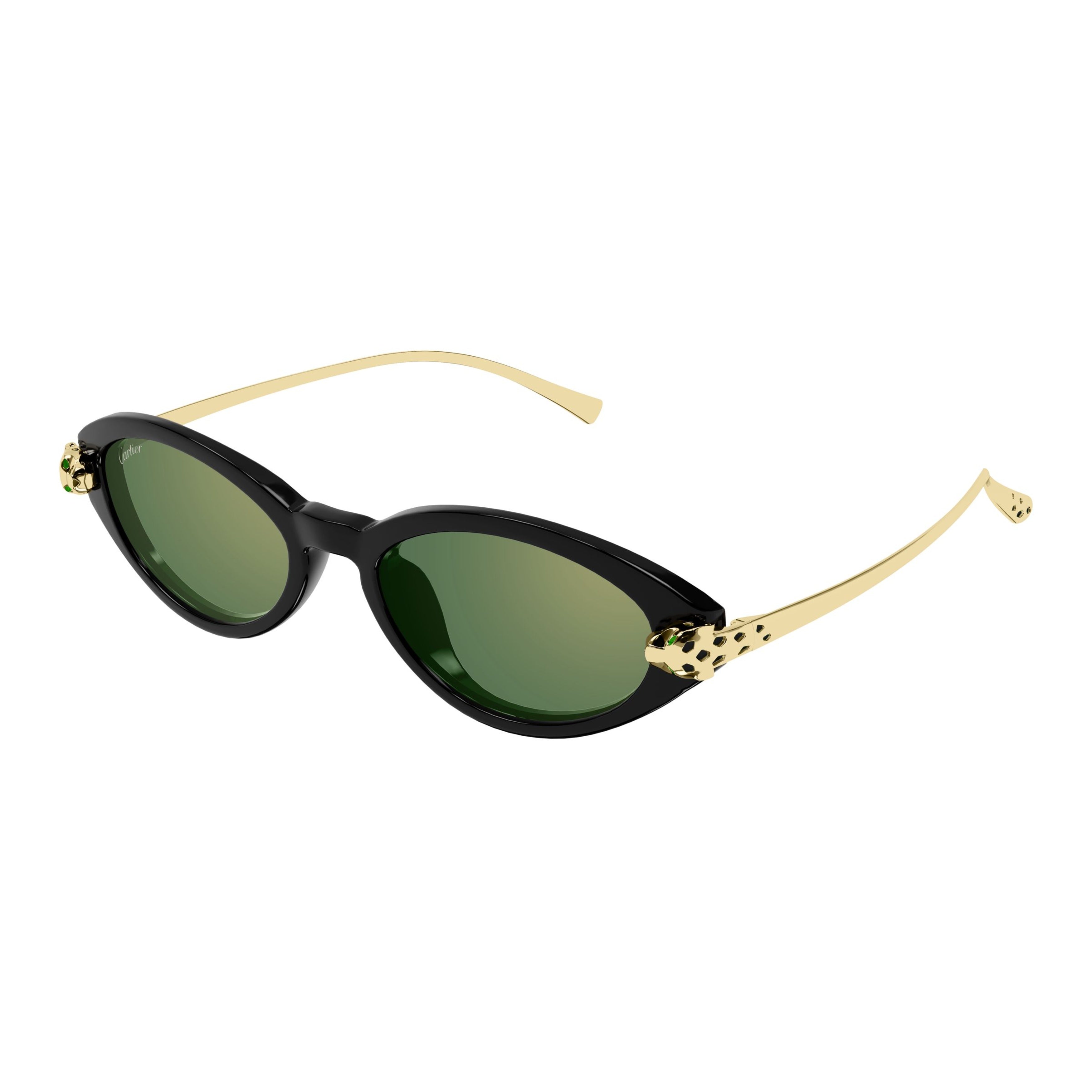 Ct0634s Oval Frame Sunglasses