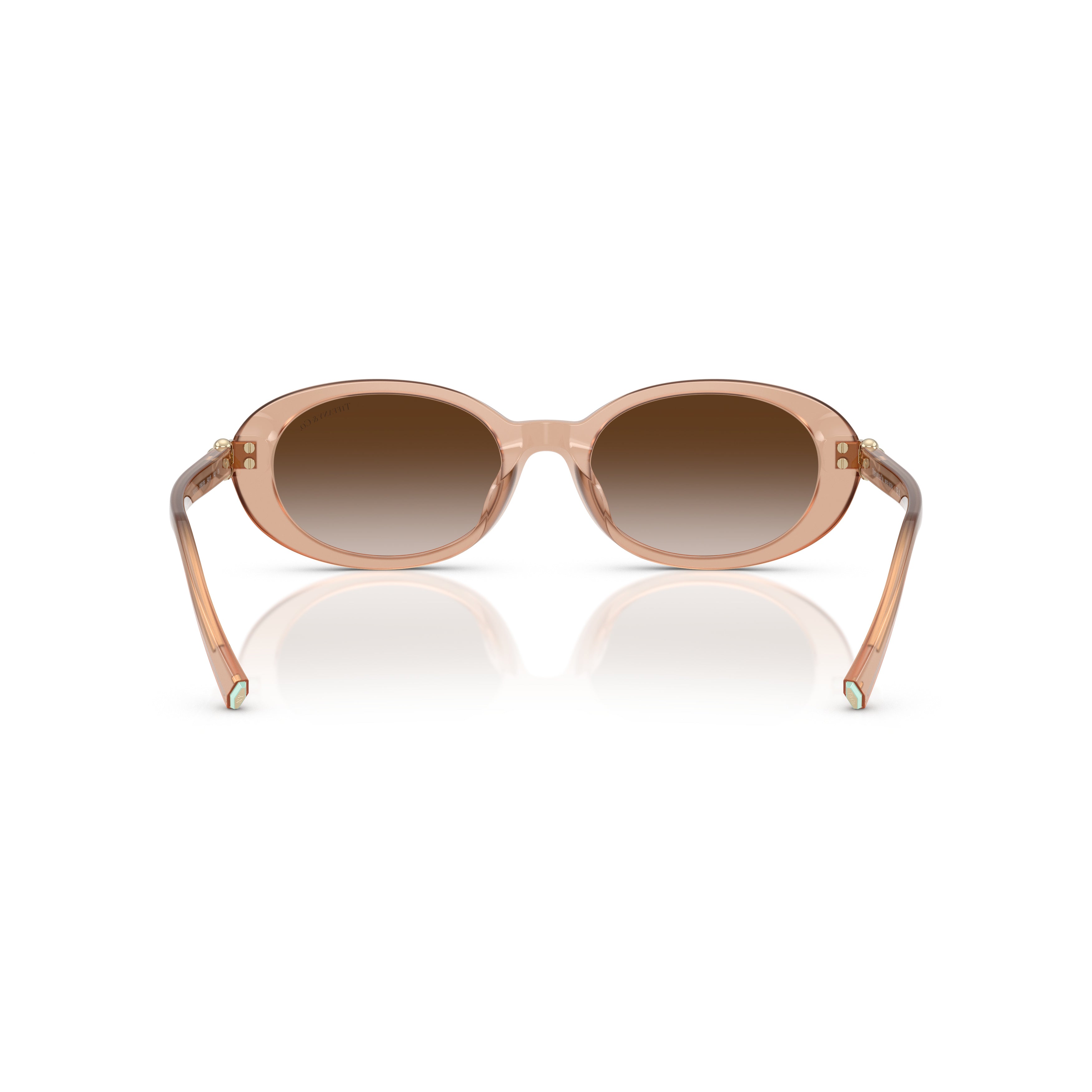 0tf4242d Translucent Acetate Oval Sunglasses
