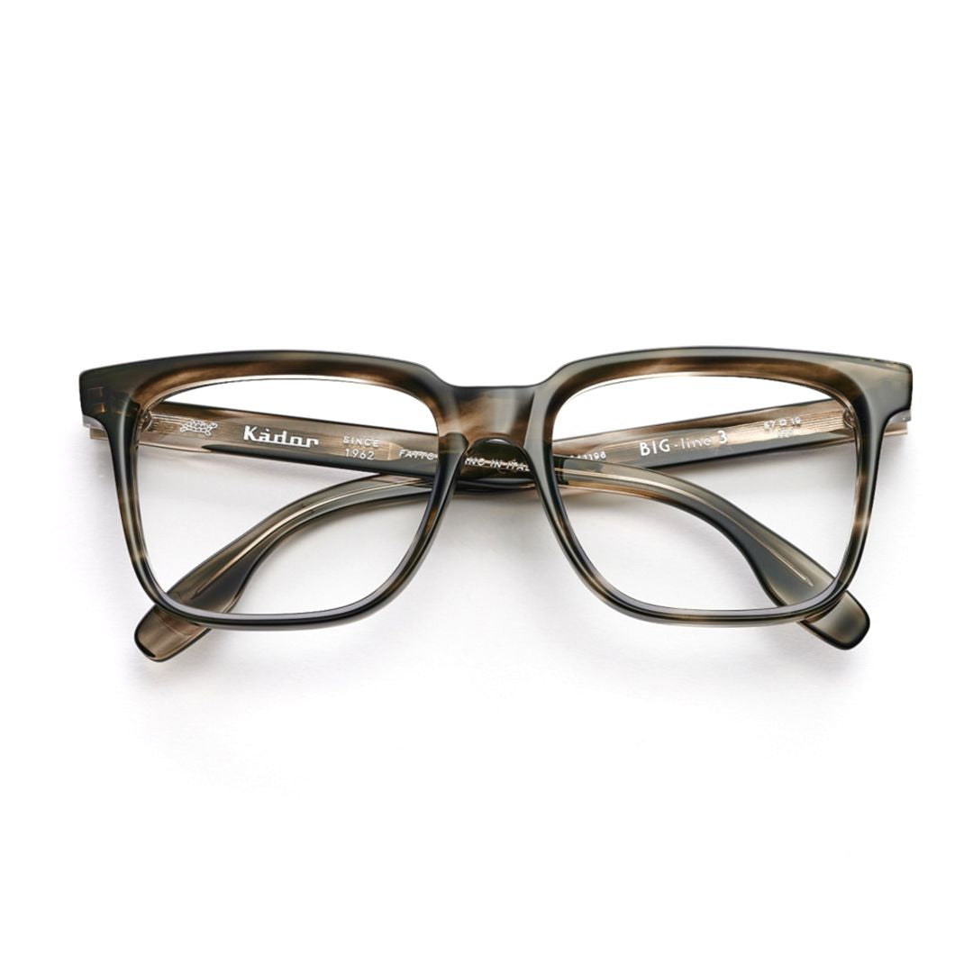 Big 3 Rectangular Tortoiseshell Frame Eyeglasses