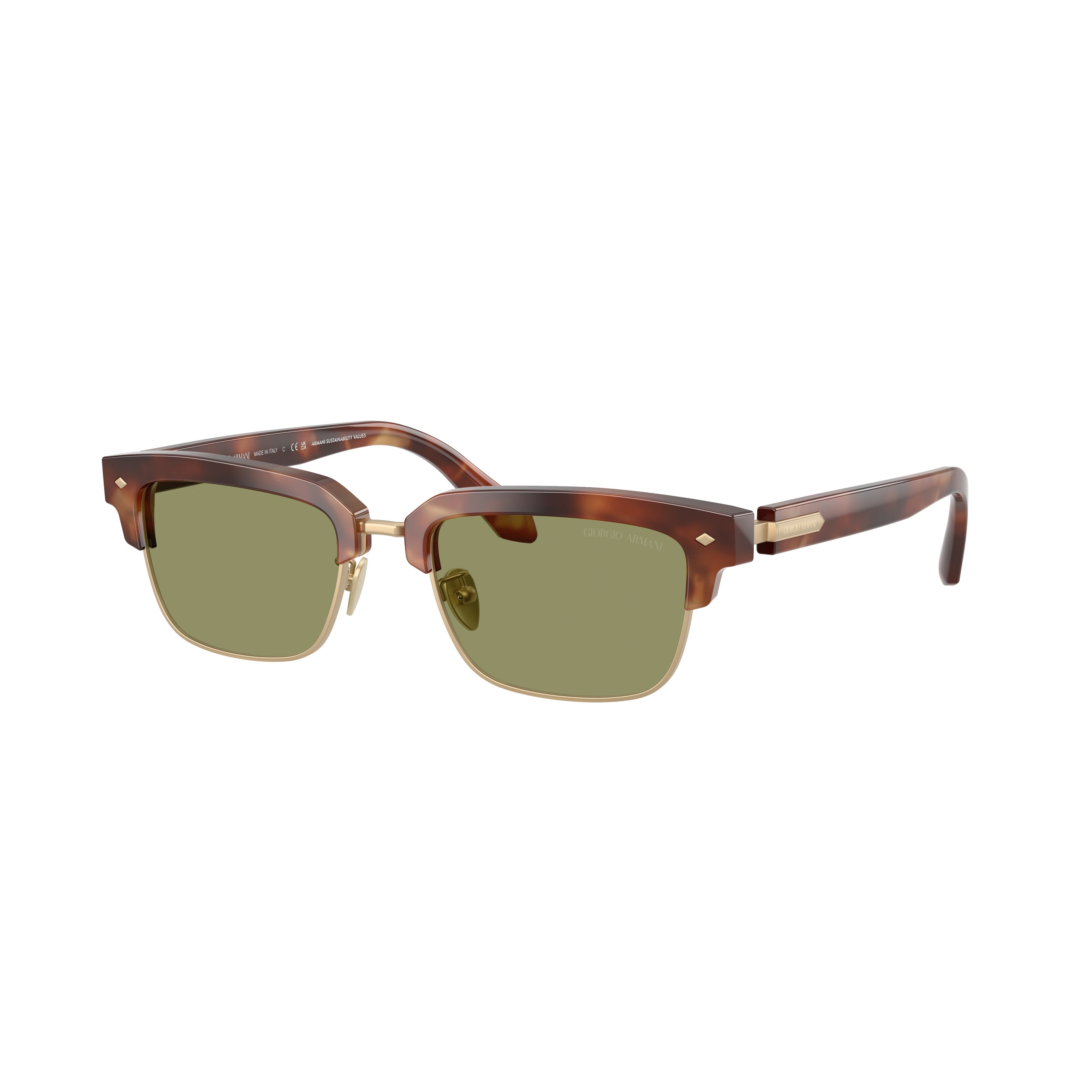 0ar8243 Tortoiseshell Acetate Sunglasses with Gold-Tone Frame