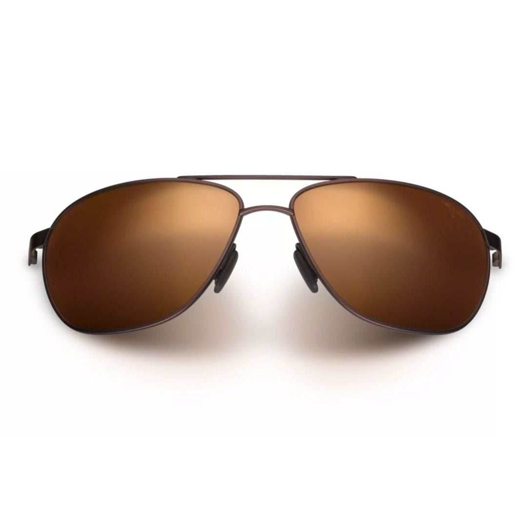 Castles Double Bridge Metal Sunglasses with Tortoiseshell Temples